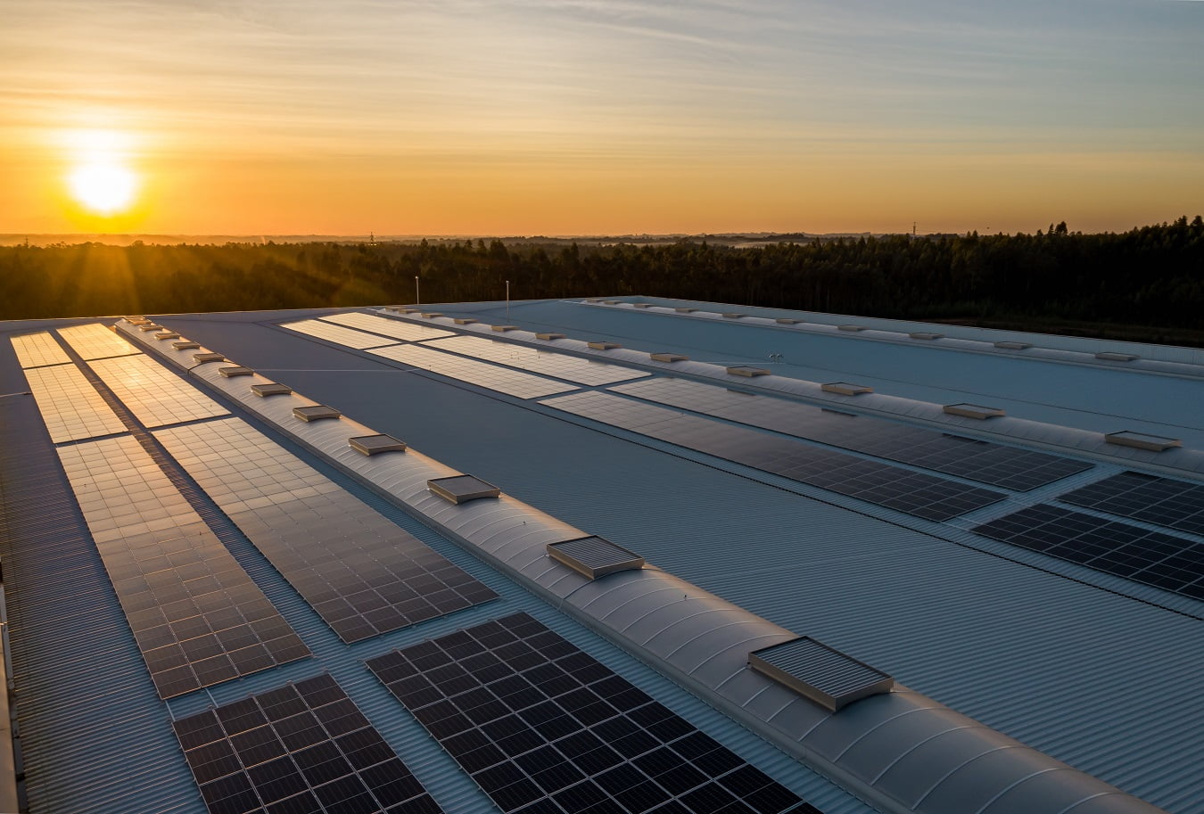RENEWABLE - The Future Of - ENERGY 1 Solar company in kerala
